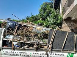 Best Property Management Cleanouts  in Colesville, MD